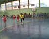 HandBall13.jpg (16184 octets)