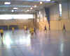 HandBall45.jpg (16321 octets)