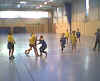 HandBall51.jpg (18624 octets)