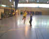HandBall52.jpg (15442 octets)