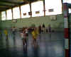 HandBall61.jpg (24072 octets)
