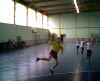 HandBall64.jpg (22250 octets)