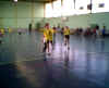 HandBall65.jpg (20111 octets)