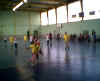 HandBall66.jpg (20343 octets)