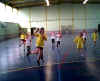 HandBall68.jpg (24637 octets)