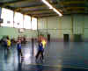 HandBall69.jpg (25503 octets)