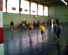 HandBall71.jpg (23293 octets)