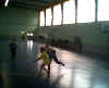 HandBall73.jpg (19793 octets)