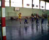 HandBall76.jpg (22951 octets)