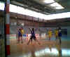 HandBall134.jpg (28062 octets)