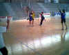 HandBall135.jpg (26537 octets)